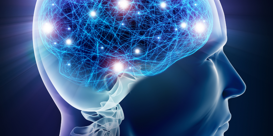 Revix Clinic | Understanding Brain Health and Brain Inflammation: A Comprehensive Guide 1