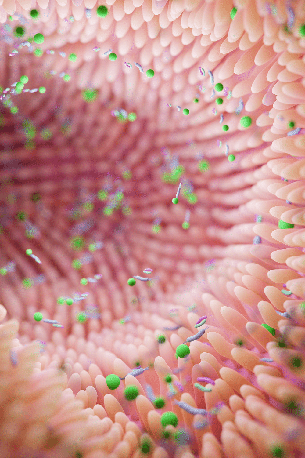 말레이시아의 종합적 습진 치료: 장 건강, 피부 회복 및 염증 조절