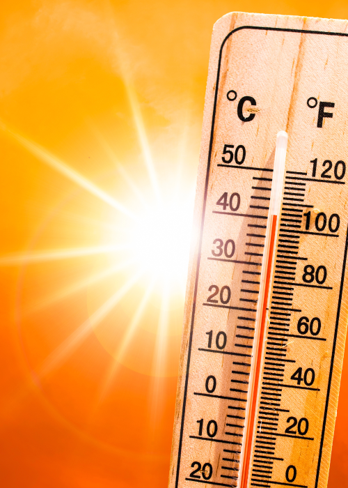 Revix Clinic | Mitochondria: The Powerhouse Behind Your Metabolism, Energy, and Aging hyperthermia