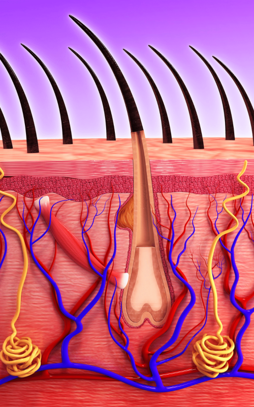 Revix Clinic | Facial Sagging Explained: A Comprehensive Guide to Understanding and Restoring Firmness Naturally anti aging clinic